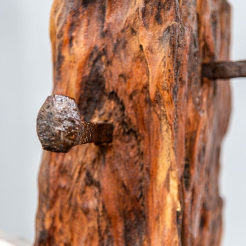 Productos woodlocked (2)